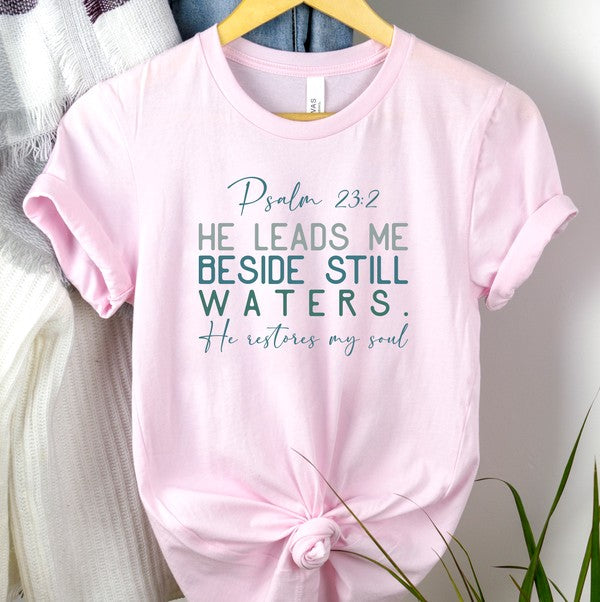 Psalm 23 2 He Leads Me