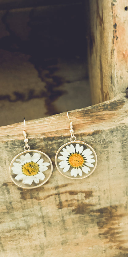 Beautiful Gold Daisy Earrings