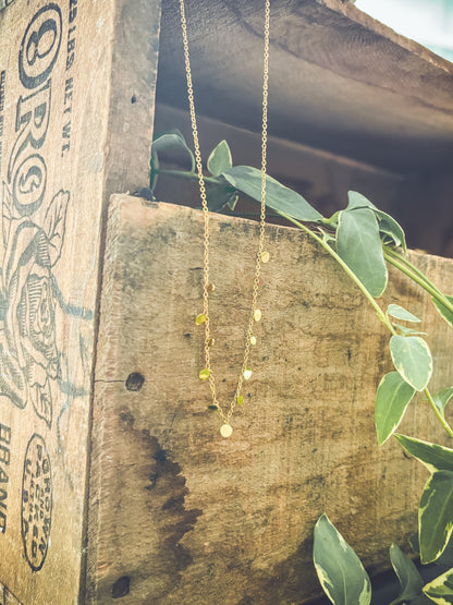 Beautiful Dainty and Feminine Gold Round Disc Choker Necklace