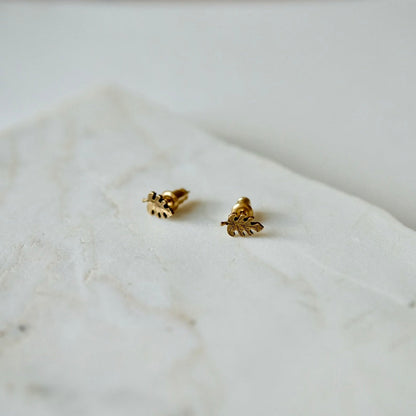 palm stud