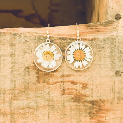 Beautiful Gold Daisy Earrings