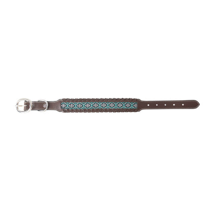 Freedom Trail Dog Collar In Black & Turquoise