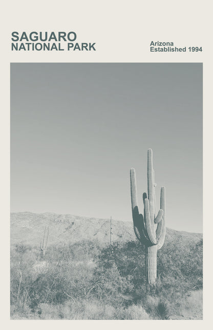 Saguaro National Park Print, Monochrome