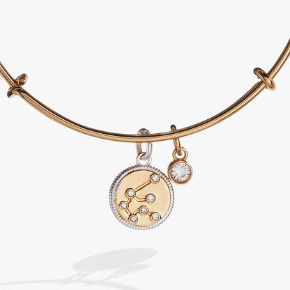 Aquarius Zodiac Charm Bangle