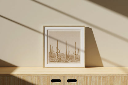 Cactus Desert Print