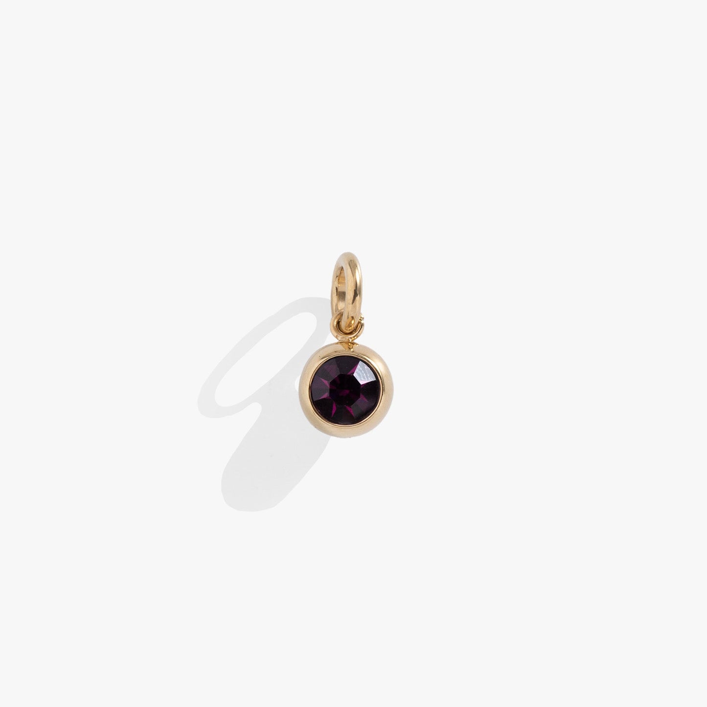 February Birthstone Interchangeable Charm