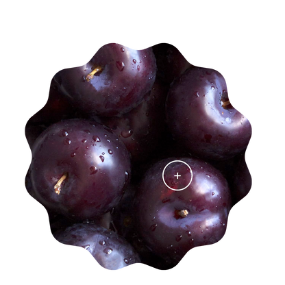 plum pudding