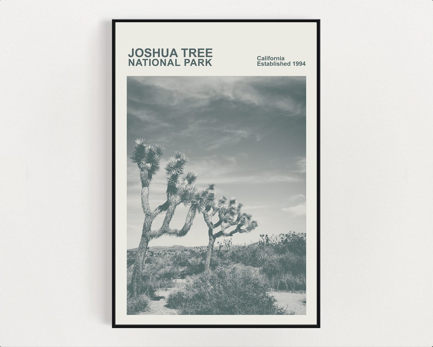 Joshua Tree National Park Print