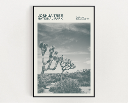 Joshua Tree National Park Print